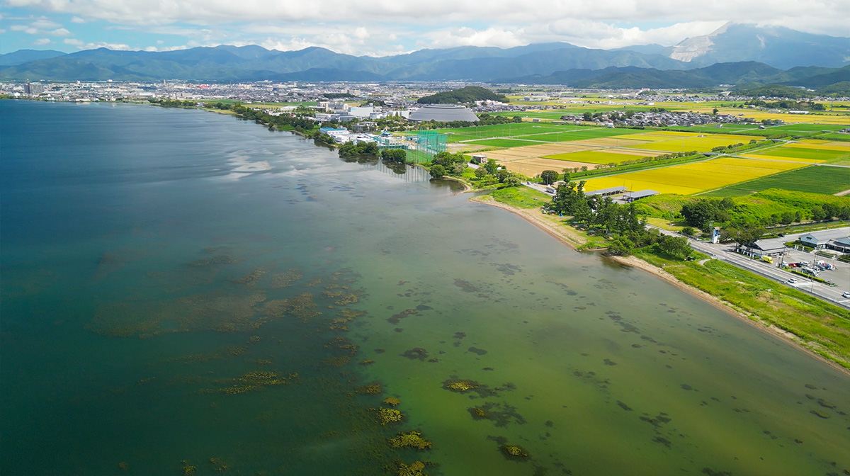 琵琶湖　ドローン