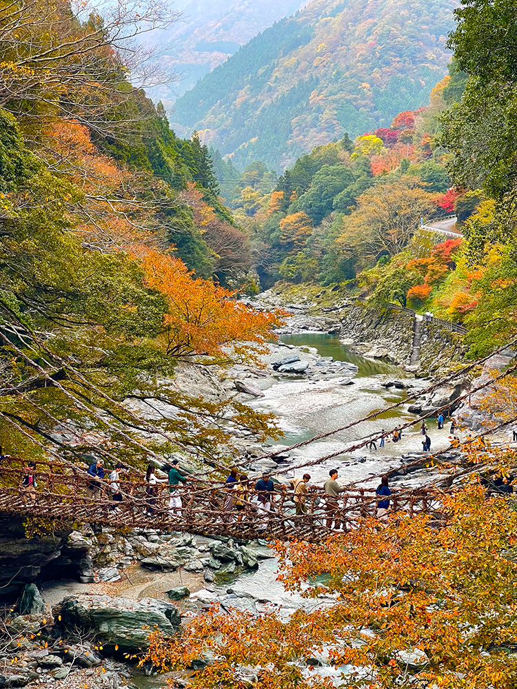 祖谷のかずら橋