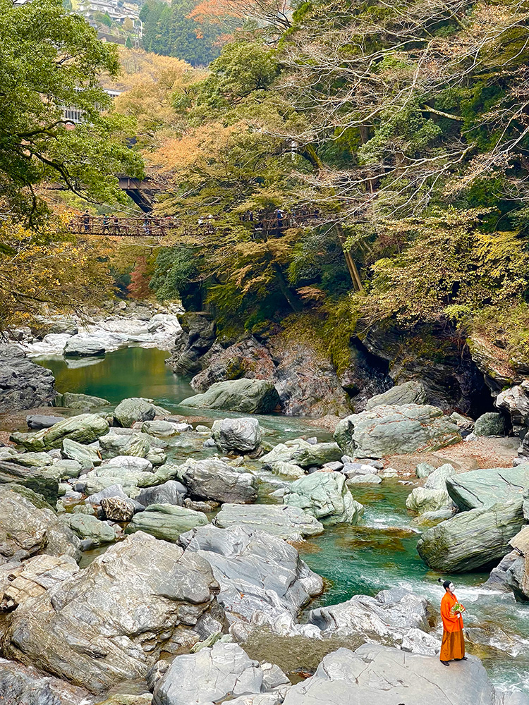 祖谷のかずら橋