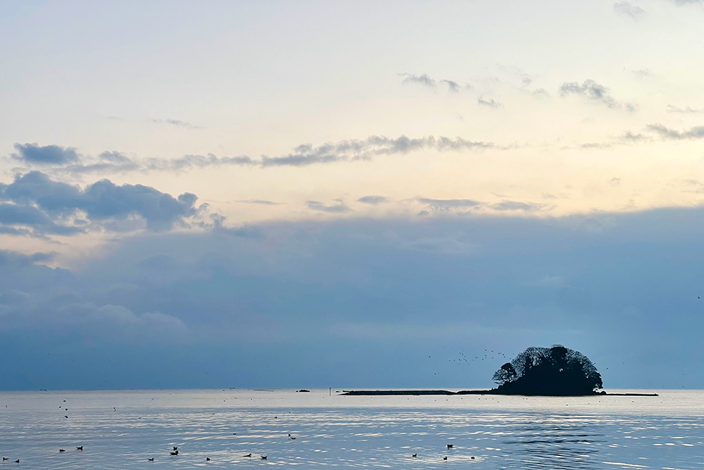 虻が島