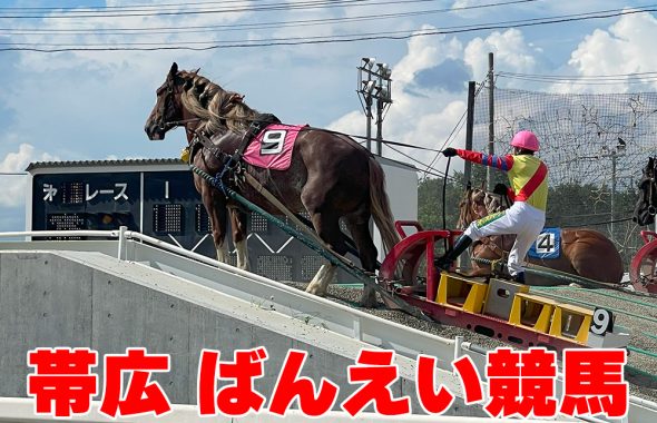 ばんえい競馬