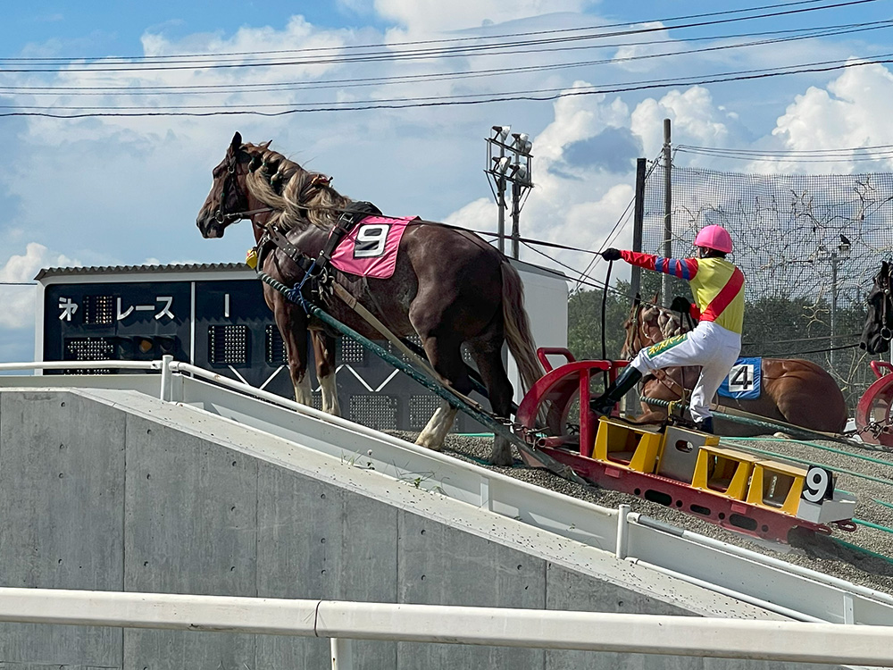ばんえい競馬