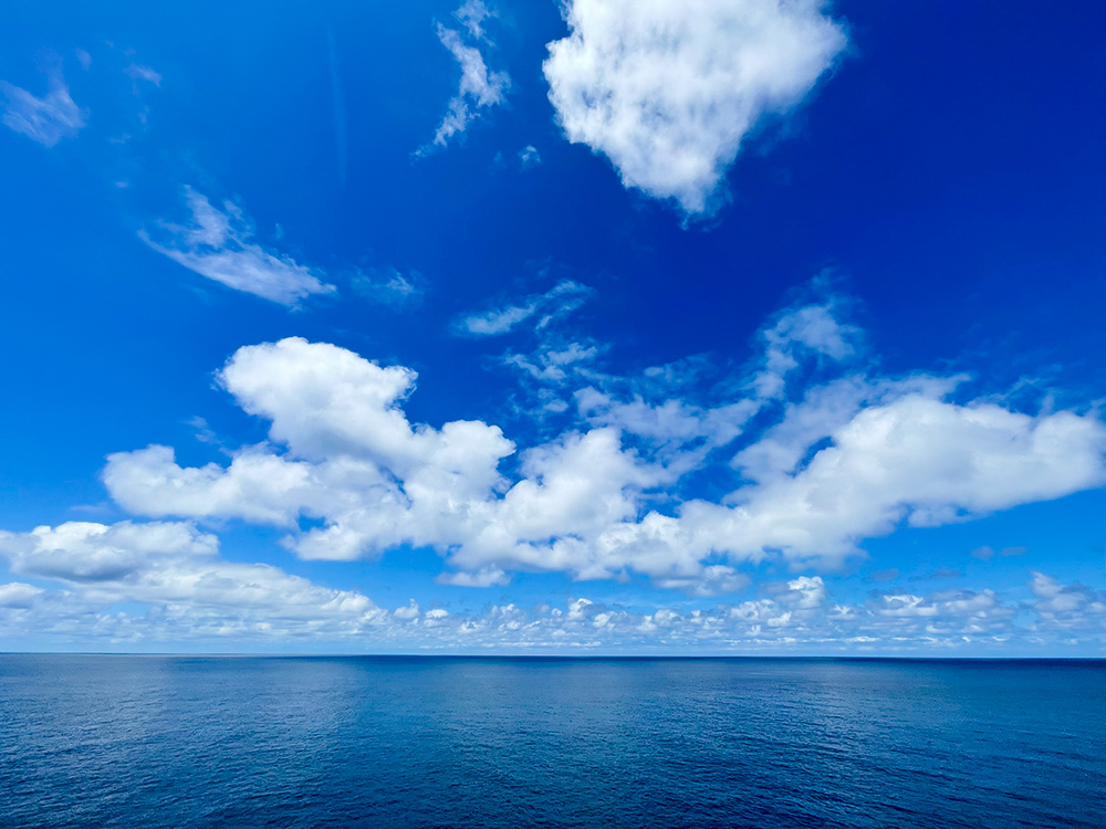 新日本海フェリー