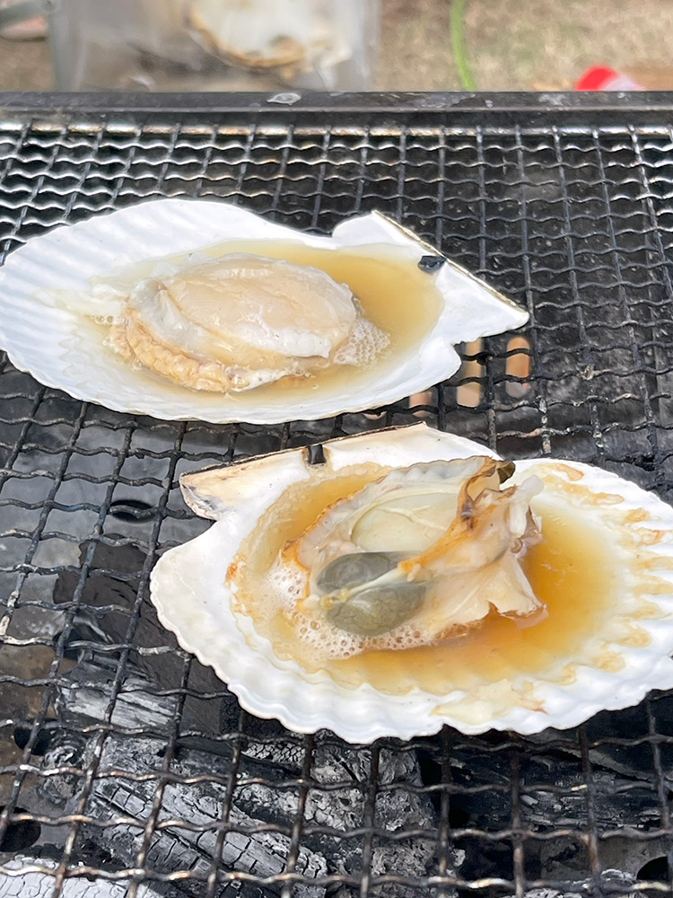 ホタテ貝