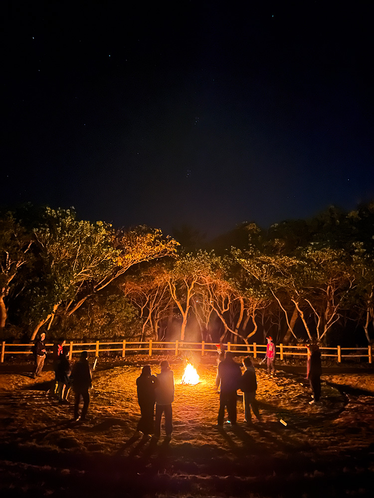 キャンプファイヤー